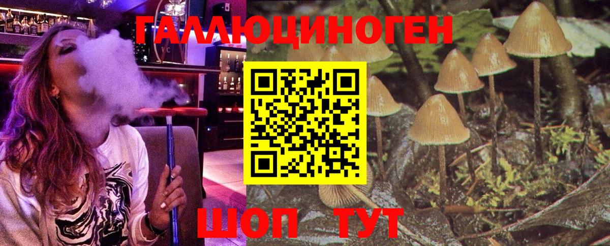 Галлюциногенные грибы Psilocybine cubensis  Вход с VPN  Ижевск  Псилоцибиновые грибы мицелий 